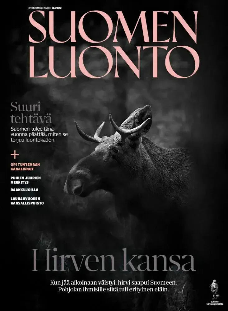 Suomen Luonto 8/2022-Suomen Luonto -lehti-Suomen luonnonsuojeluliiton Luontokauppa