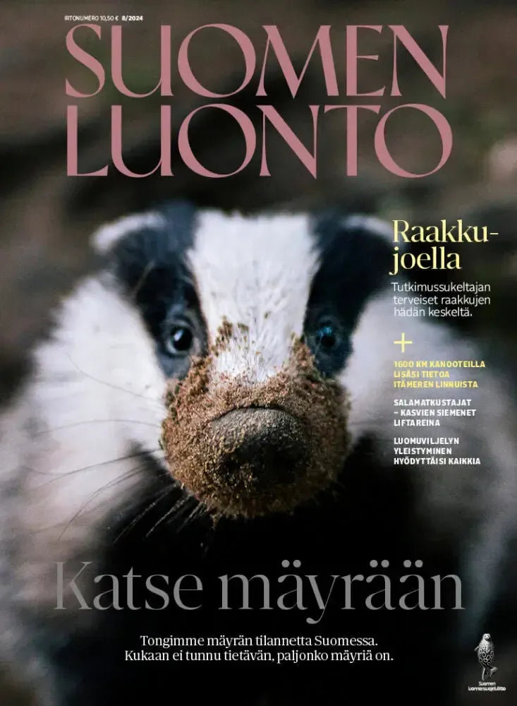 Suomen Luonto 8/2024-Suomen Luonto -lehti-Suomen luonnonsuojeluliiton Luontokauppa
