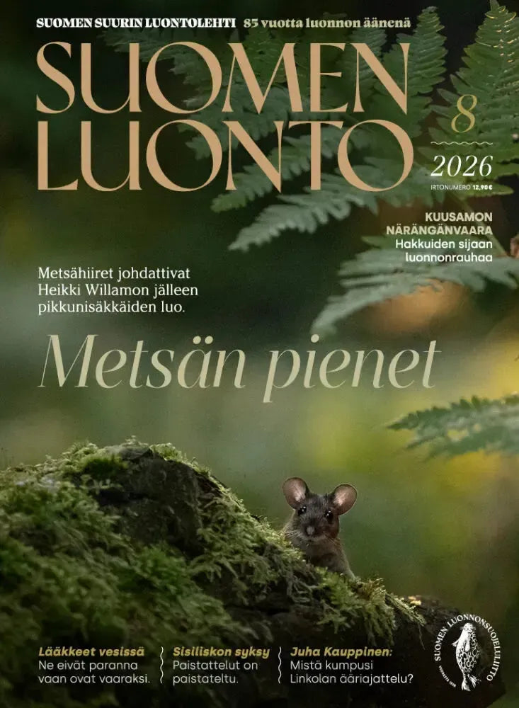 Suomen Luonto 8/2026-Suomen Luonto -lehti-Suomen luonnonsuojeluliiton Luontokauppa