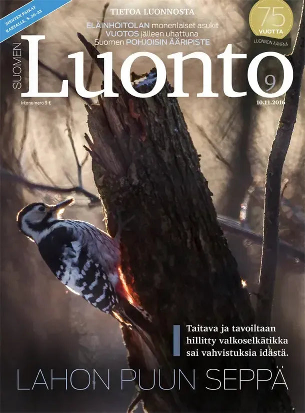 Suomen Luonto 9/2016-Suomen Luonto -lehti-Suomen luonnonsuojeluliiton Luontokauppa