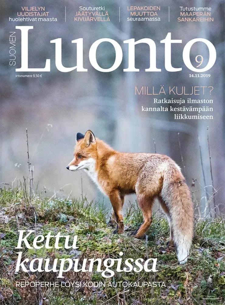 Suomen Luonto 9/2019-Suomen Luonto -lehti-Suomen luonnonsuojeluliiton Luontokauppa