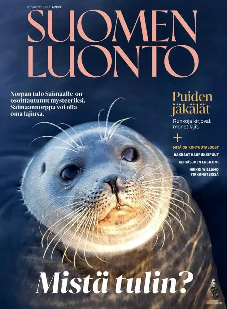 Suomen Luonto 9/2023-Suomen Luonto -lehti-Suomen luonnonsuojeluliiton Luontokauppa