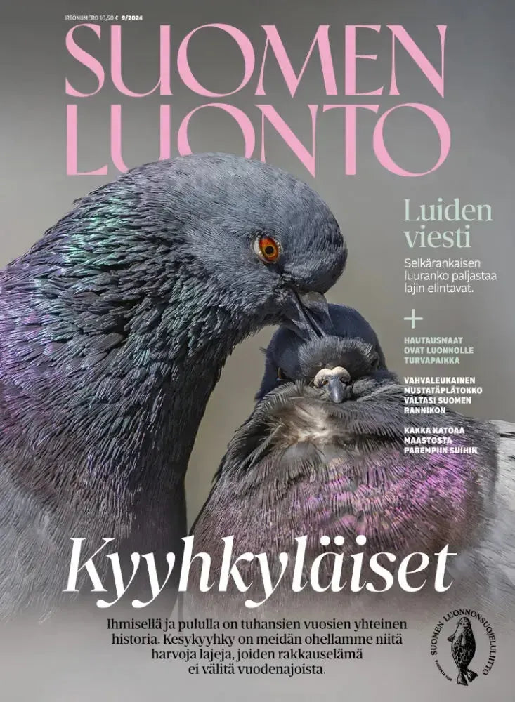 Suomen Luonto 9/2024-Suomen Luonto -lehti-Suomen luonnonsuojeluliiton Luontokauppa