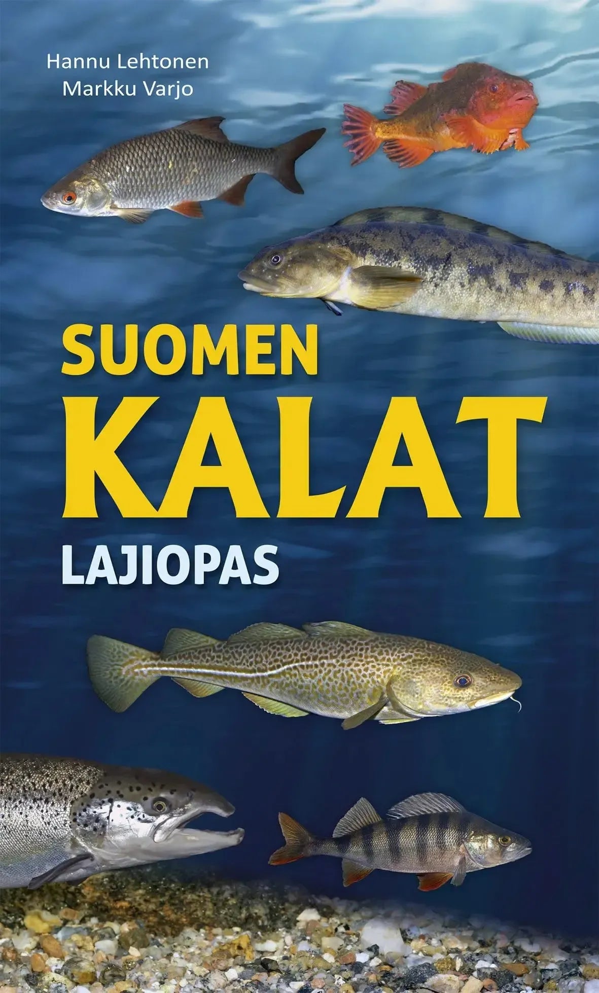 Suomen kalat - Lajiopas-Kala-aiheiset kirjat-Suomen luonnonsuojeluliiton Luontokauppa