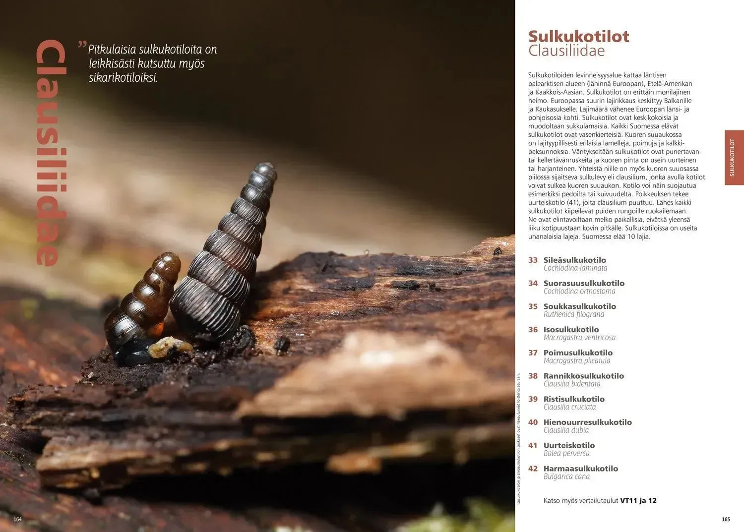 Suomen kotilot ja etanat-Hyönteisaiheiset kirjat-Suomen luonnonsuojeluliiton Luontokauppa