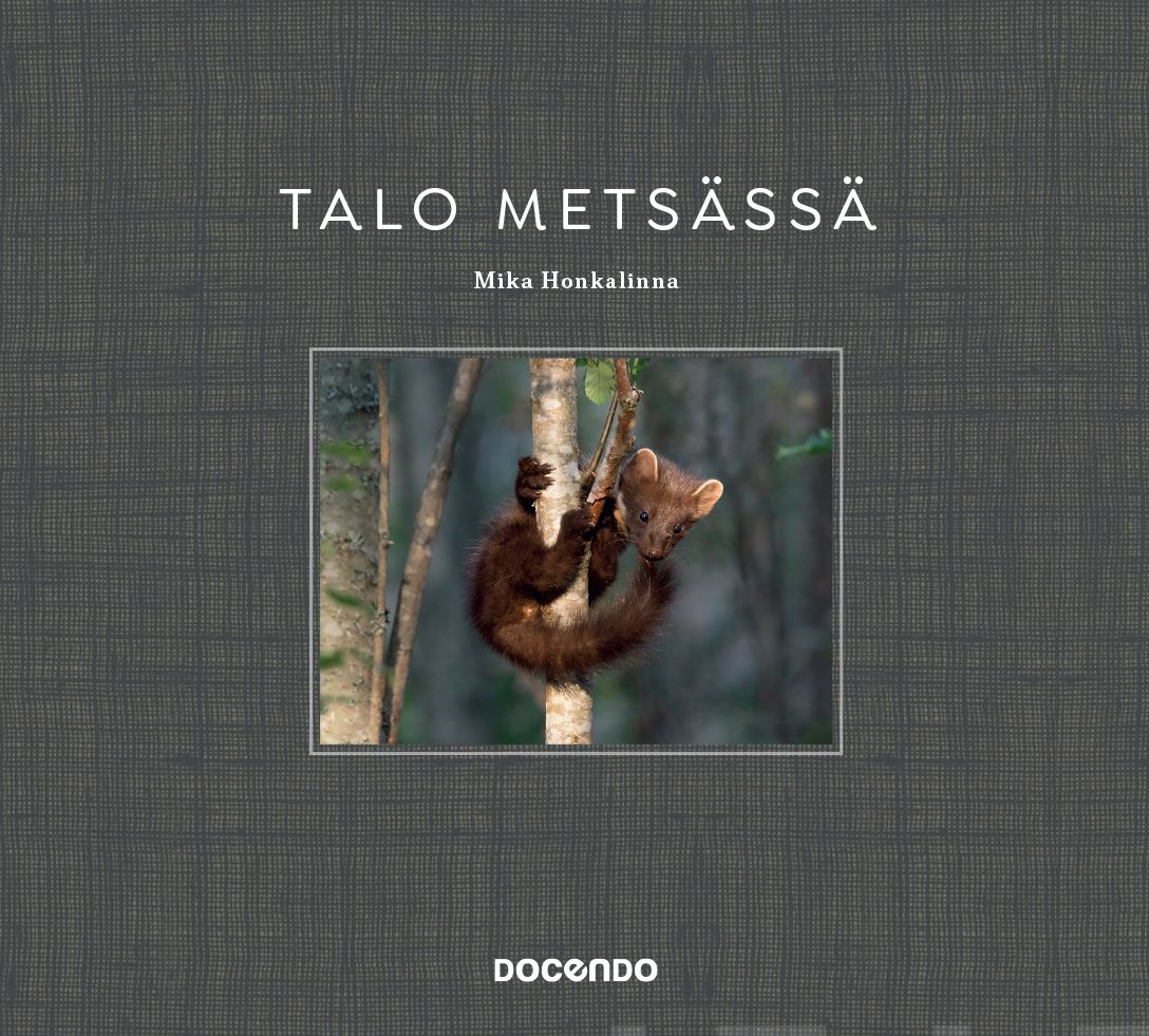 Talo metsässä
