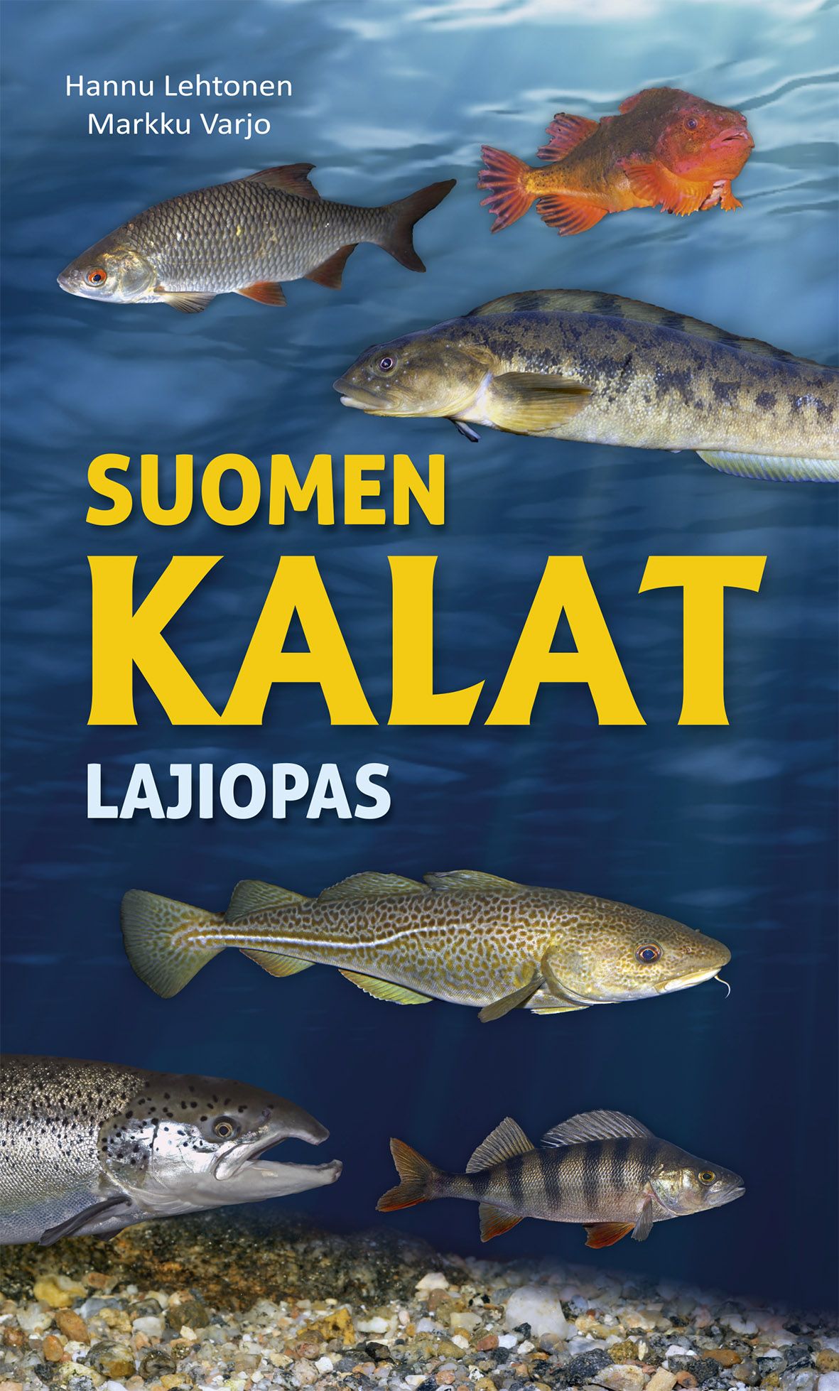Suomen kalat - Lajiopas