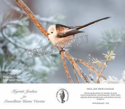 Pyrstötiainen -sähköinen joulukortti