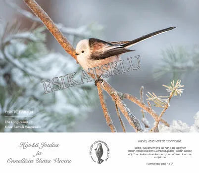 Pyrstötiainen -sähköinen joulukortti