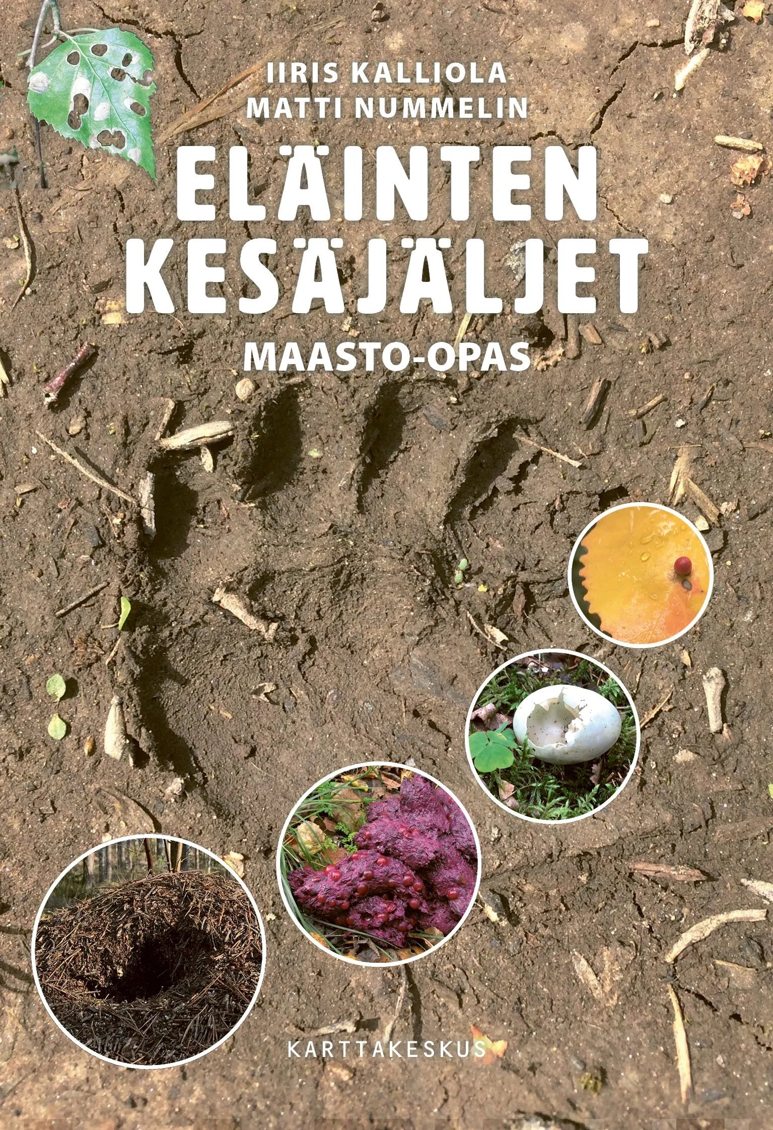 Eläinten kesäjäljet - Maasto-opas-Eläinaiheiset kirjat-Suomen luonnonsuojeluliiton Luontokauppa