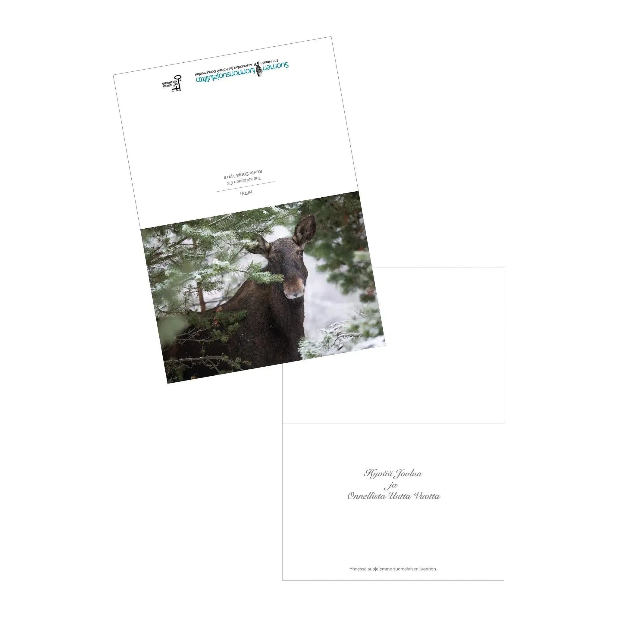 Hirvi -joulukortti-Joulukortit-Suomen luonnonsuojeluliiton Luontokauppa