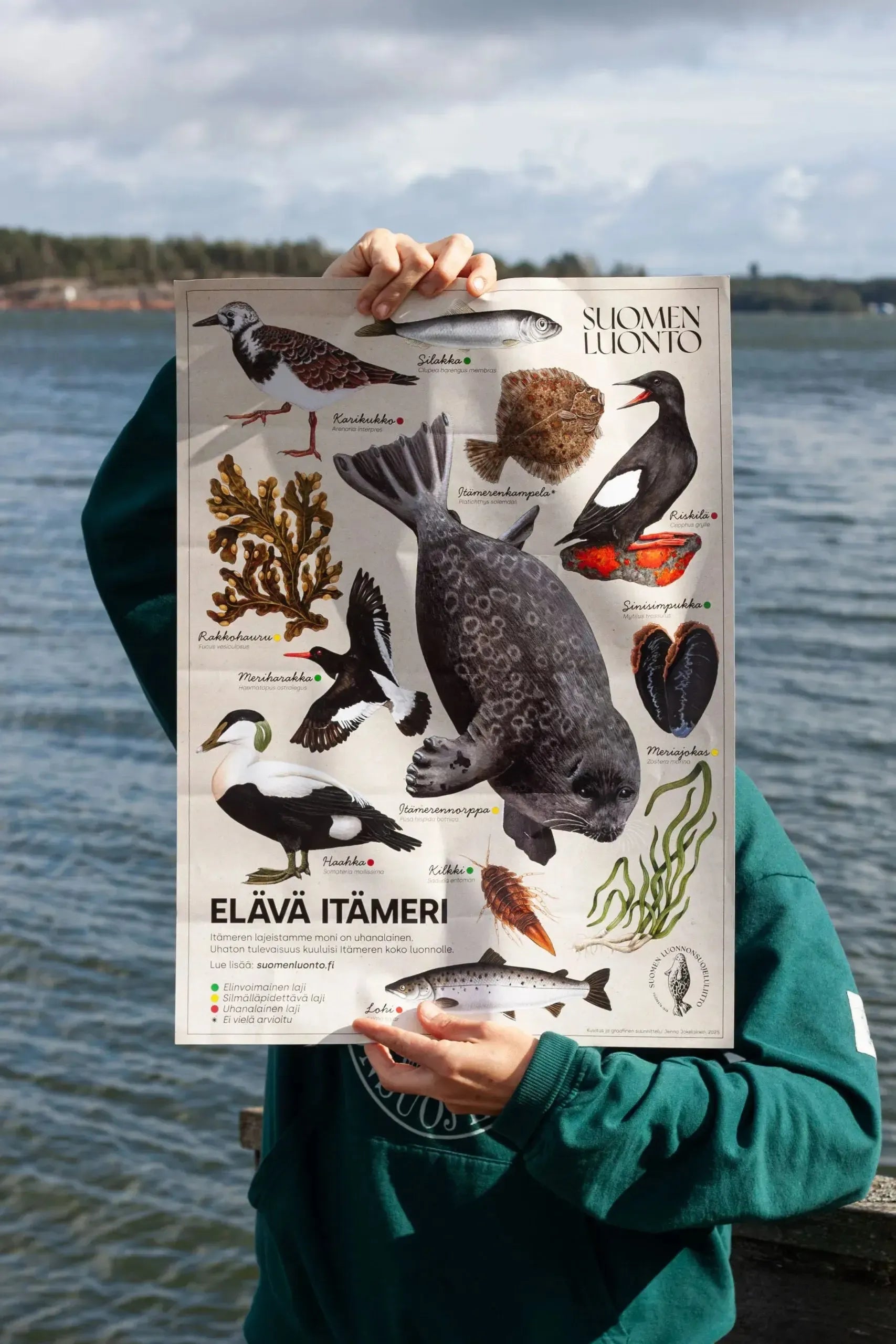 Itämeri-juliste-Muut julisteet-Suomen luonnonsuojeluliiton Luontokauppa