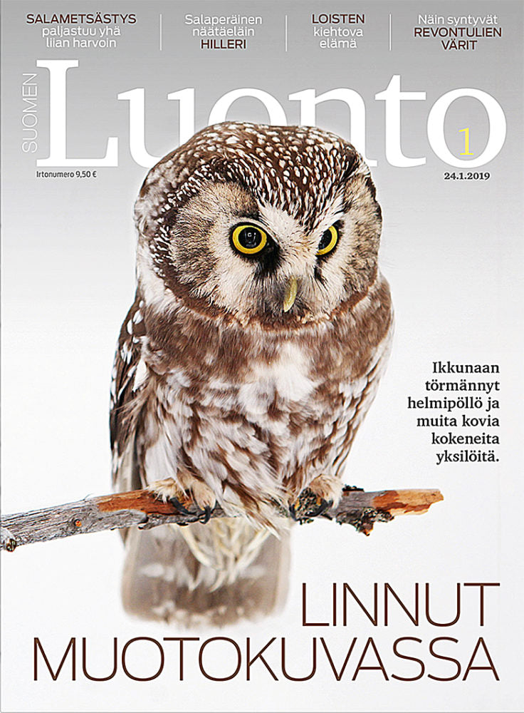 Suomen Luonto 1/2019