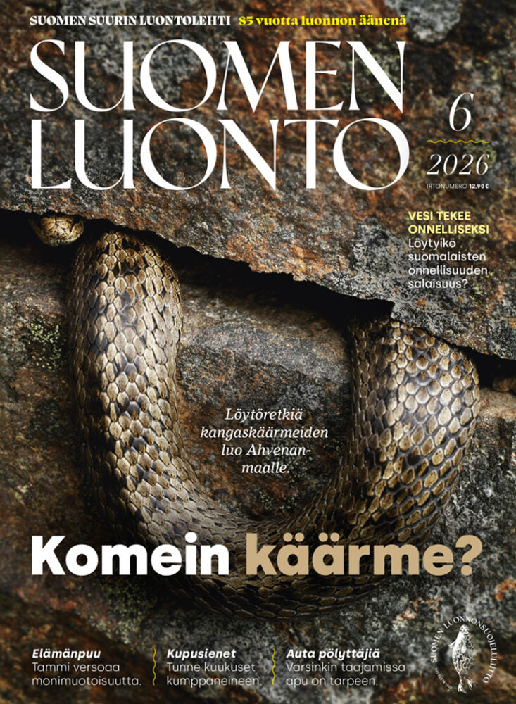 Suomen Luonto 6/2026