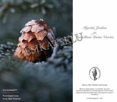 Kuurankäpy -sähköinen joulukortti