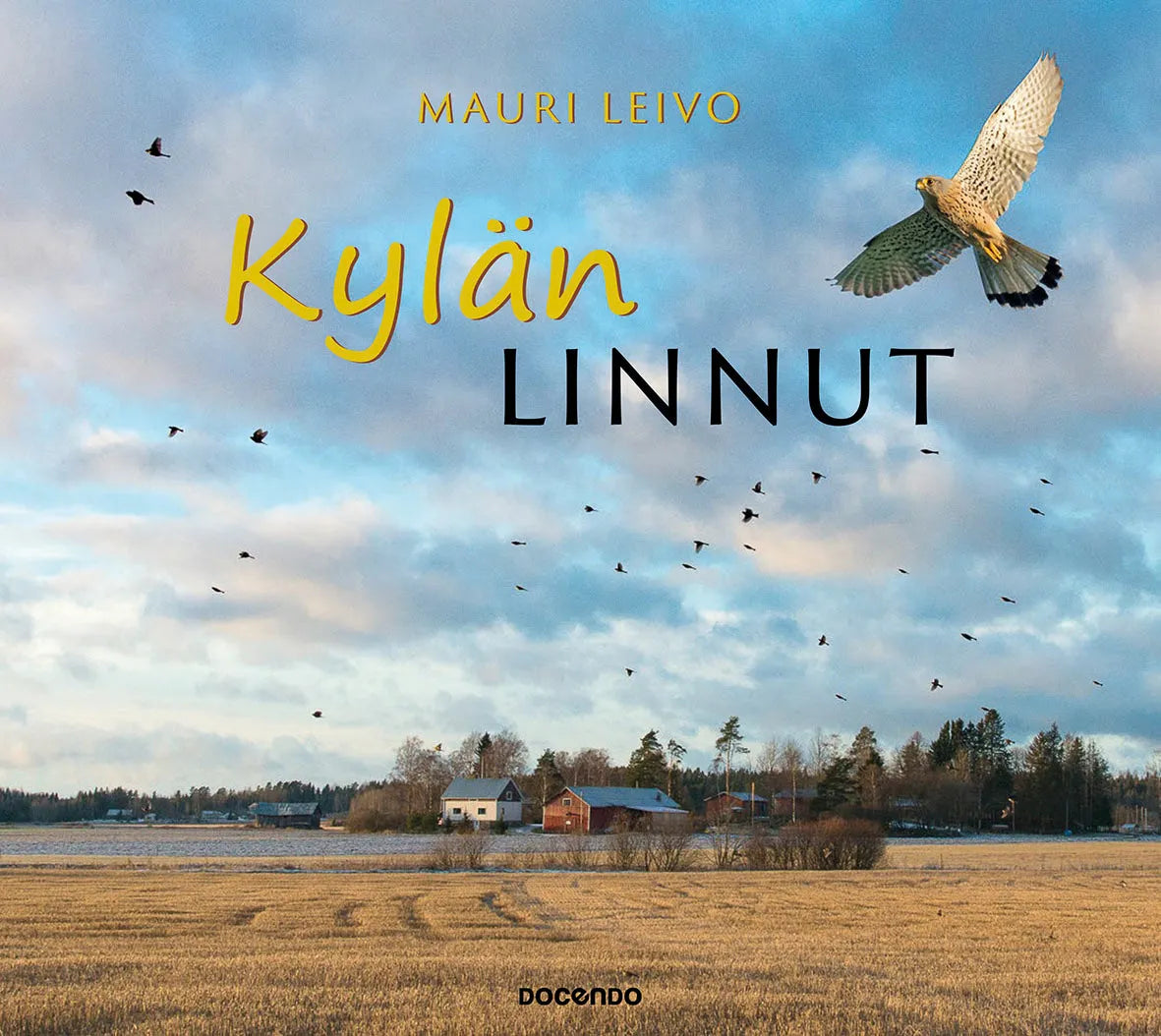 Kylän linnut