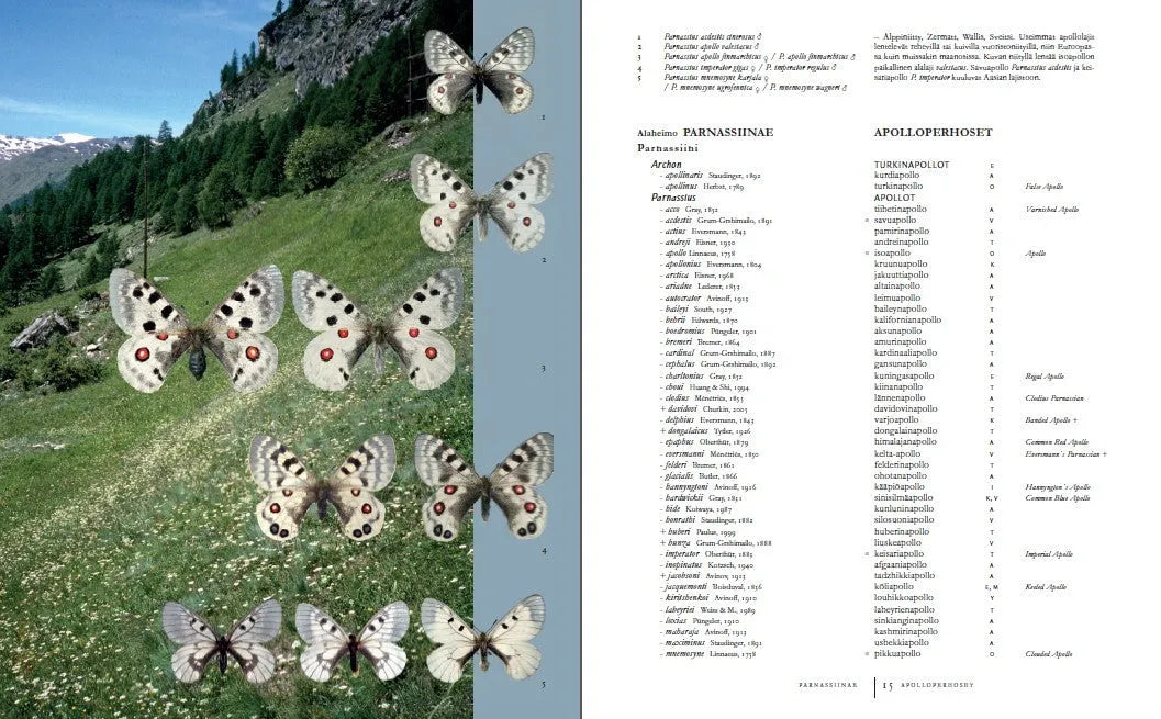 Lennä, safiirisoturi-Hyönteisaiheiset kirjat-Suomen luonnonsuojeluliiton Luontokauppa
