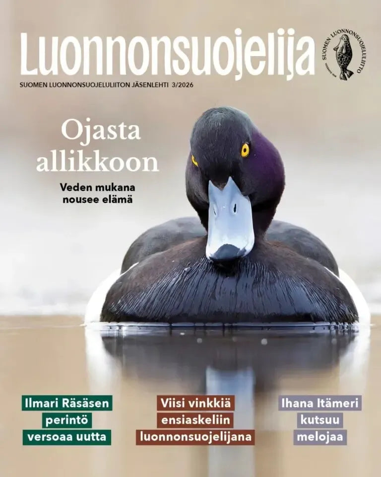 Luonnonsuojelija 3/2026-Luonnonsuojelija -lehti-Suomen luonnonsuojeluliiton Luontokauppa