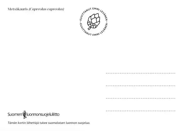Pohjolan eläimet: Metsäkauris-Pohjolan eläimet -korttisarja-Suomen luonnonsuojeluliiton Luontokauppa