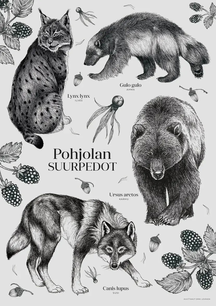 Pohjolan suurpedot -juliste-Muut julisteet-Suomen luonnonsuojeluliiton Luontokauppa