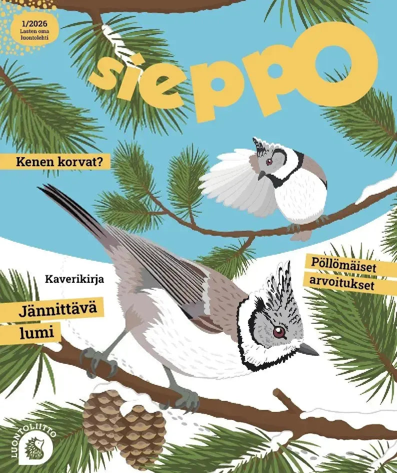 Sieppo 1/2026-Sieppo -lehti-Suomen luonnonsuojeluliiton Luontokauppa