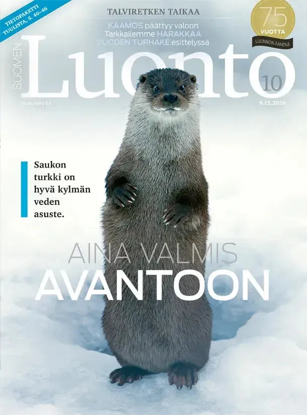 Suomen Luonto 10/2016-Suomen Luonto -lehti-Suomen luonnonsuojeluliiton Luontokauppa