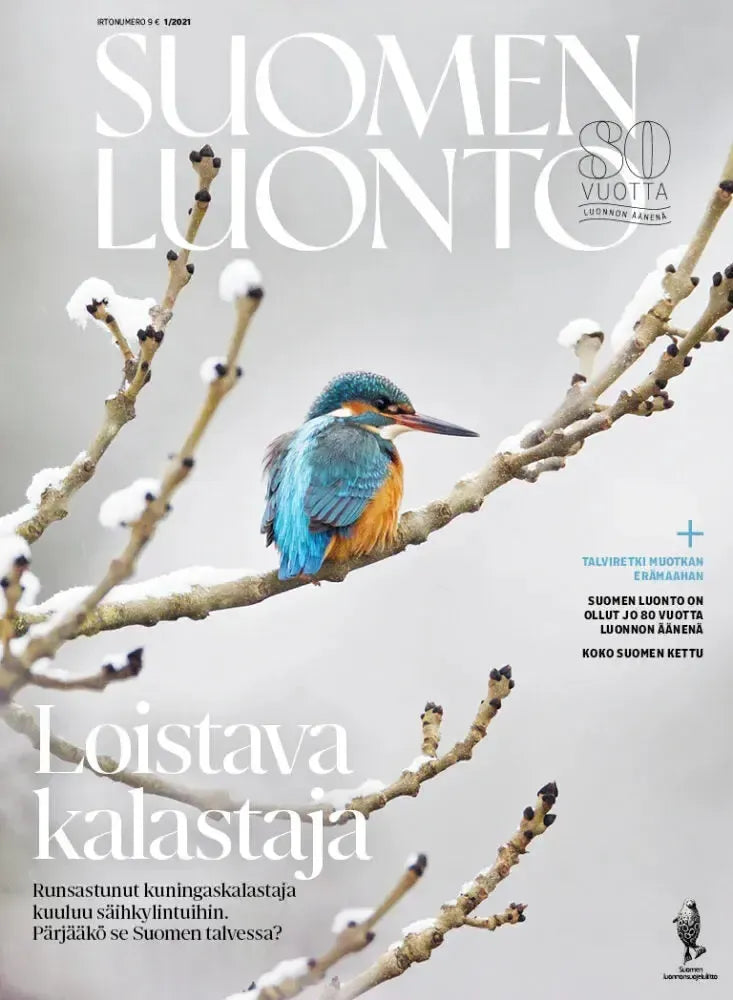 Suomen Luonto 1/2021-Suomen Luonto -lehti-Suomen luonnonsuojeluliiton Luontokauppa