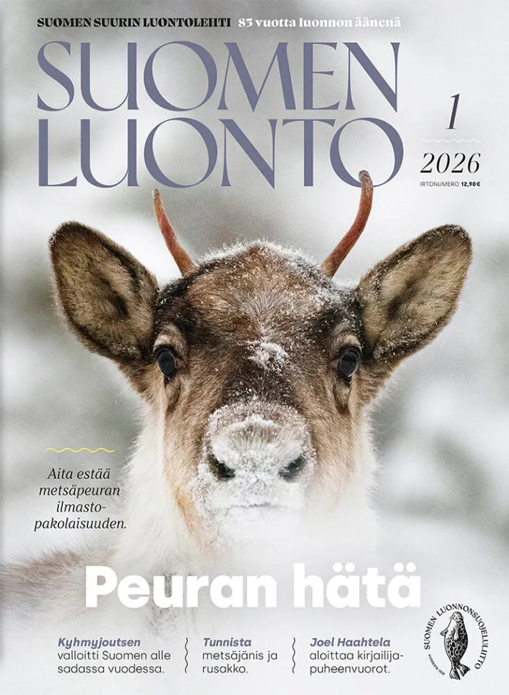 Suomen Luonto 1/2026