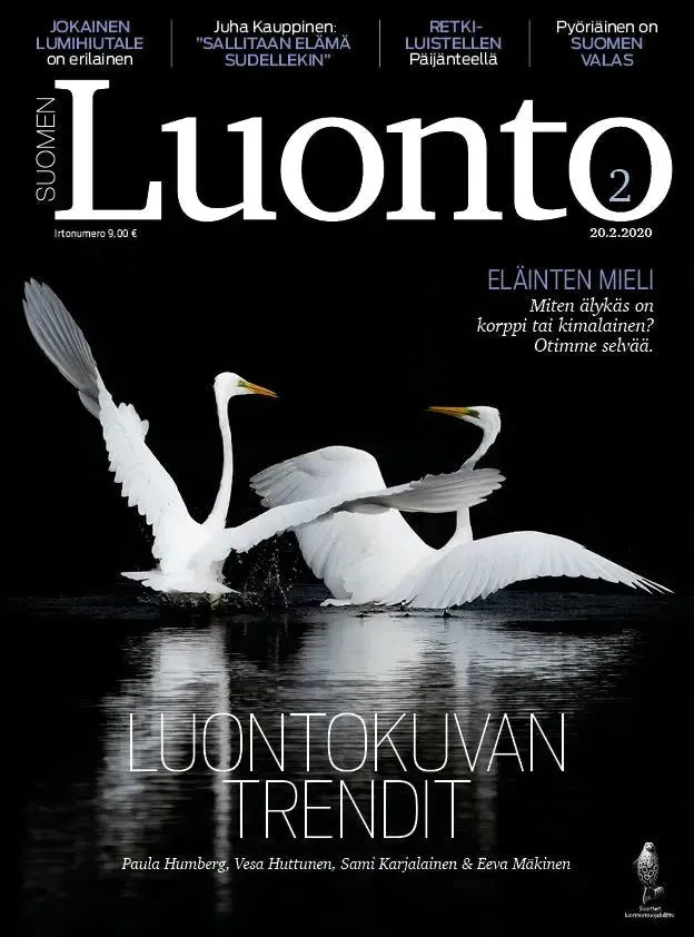 Suomen Luonto 2/2020-Suomen Luonto -lehti-Suomen luonnonsuojeluliiton Luontokauppa