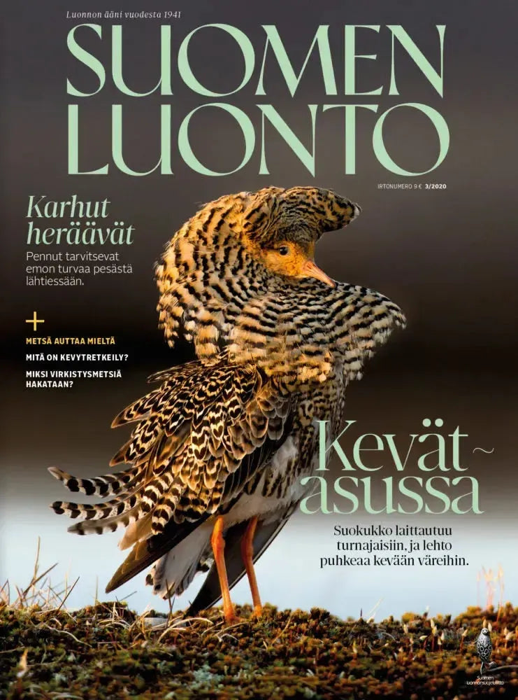 Suomen Luonto 3/2020-Suomen Luonto -lehti-Suomen luonnonsuojeluliiton Luontokauppa