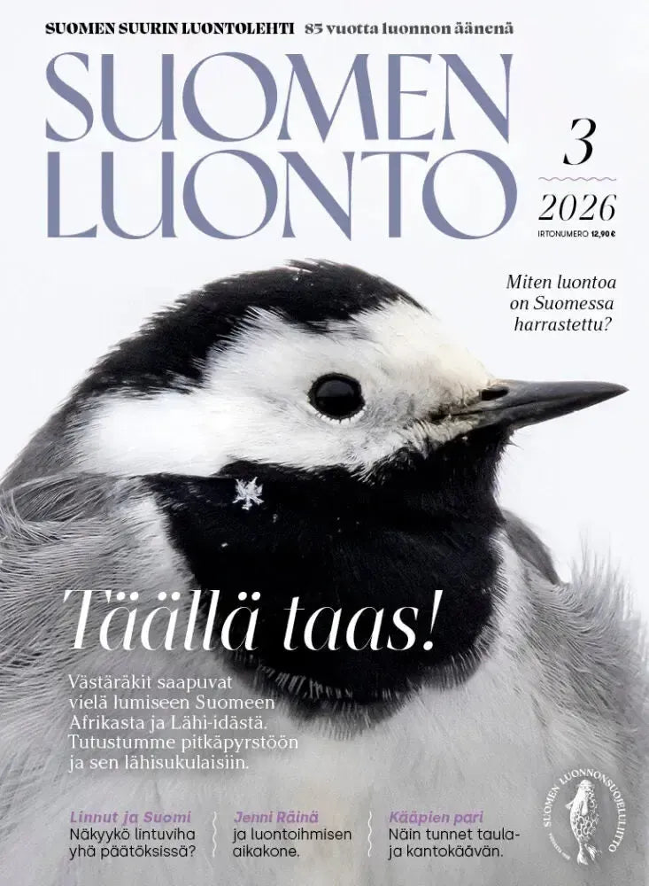 Suomen Luonto 3/2026-Suomen Luonto -lehti-Suomen luonnonsuojeluliiton Luontokauppa