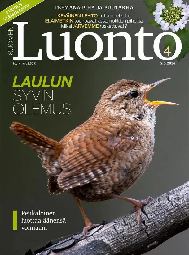 Suomen Luonto 4/2014-Suomen Luonto -lehti-Suomen luonnonsuojeluliiton Luontokauppa