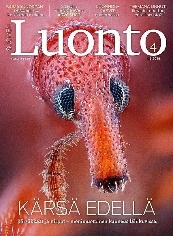 Suomen Luonto 4/2018-Suomen Luonto -lehti-Suomen luonnonsuojeluliiton Luontokauppa
