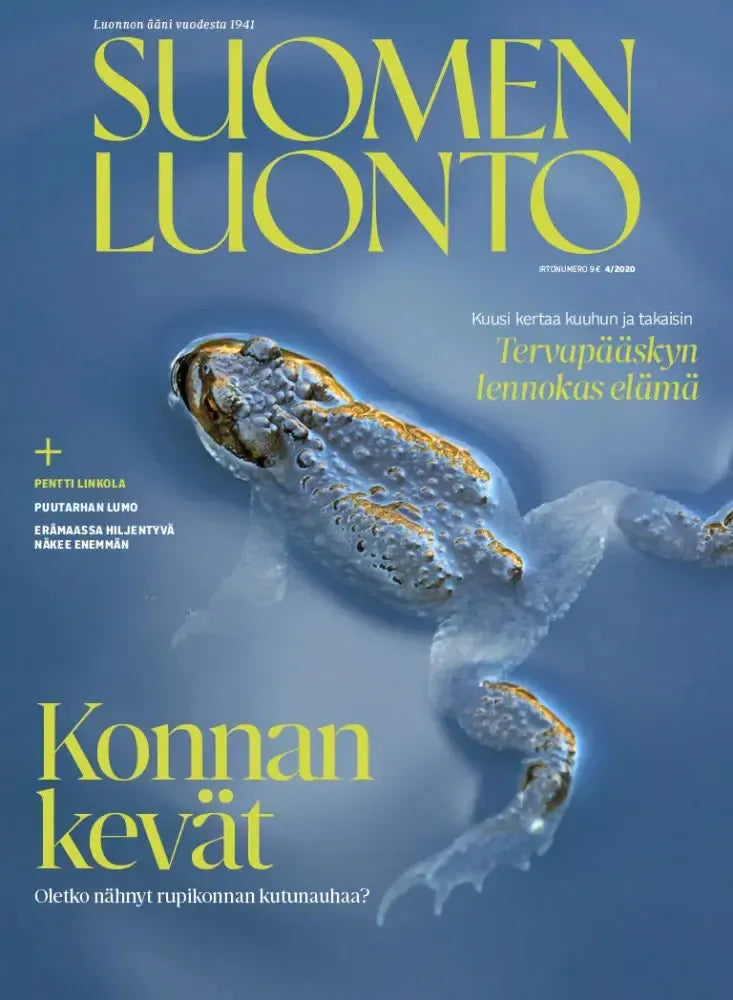 Suomen Luonto 4/2020-Suomen Luonto -lehti-Suomen luonnonsuojeluliiton Luontokauppa