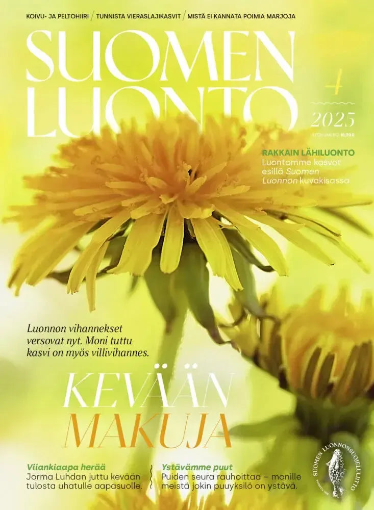 Suomen Luonto 4/2025-Suomen Luonto -lehti-Suomen luonnonsuojeluliiton Luontokauppa