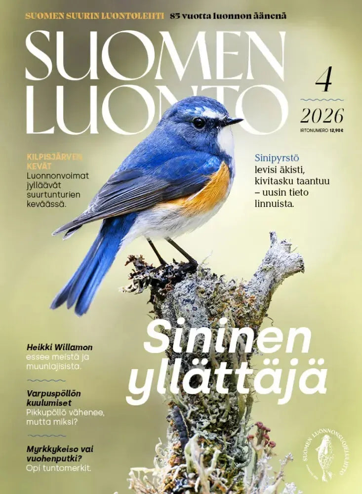 Suomen Luonto 4/2026-Suomen Luonto -lehti-Suomen luonnonsuojeluliiton Luontokauppa