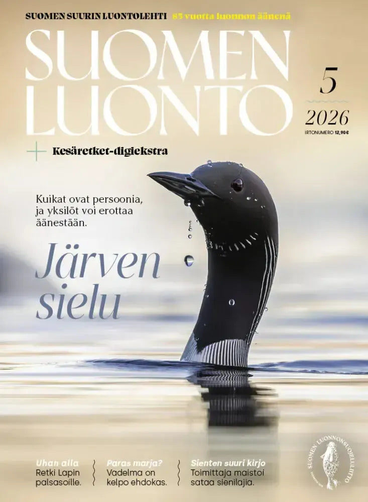 Suomen Luonto 5/2026-Suomen Luonto -lehti-Suomen luonnonsuojeluliiton Luontokauppa