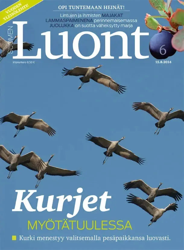 Suomen Luonto 6/2014-Suomen Luonto -lehti-Suomen luonnonsuojeluliiton Luontokauppa