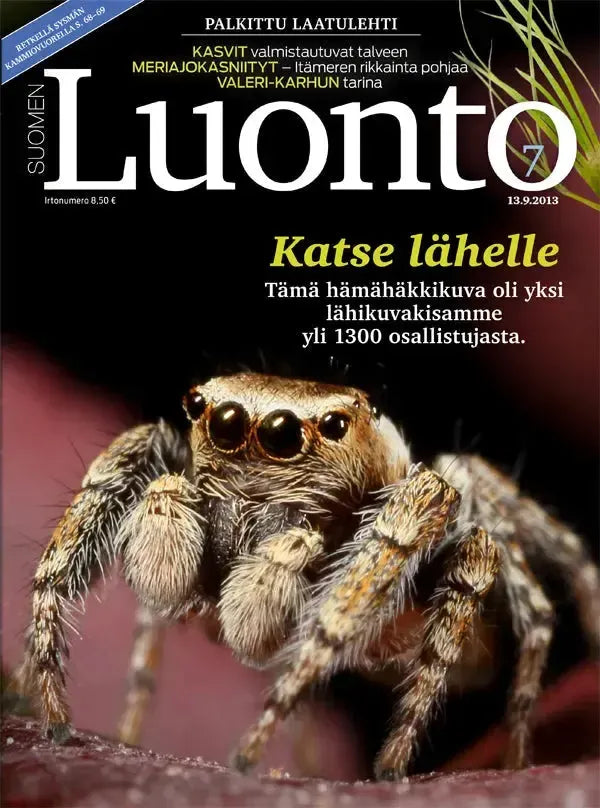 Suomen Luonto 7/2013-Suomen Luonto -lehti-Suomen luonnonsuojeluliiton Luontokauppa