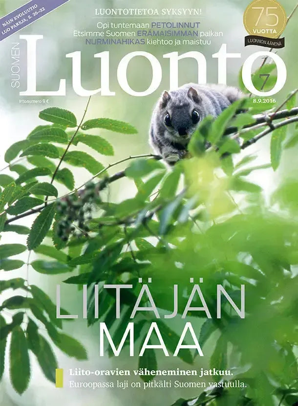 Suomen Luonto 7/2016-Suomen Luonto -lehti-Suomen luonnonsuojeluliiton Luontokauppa