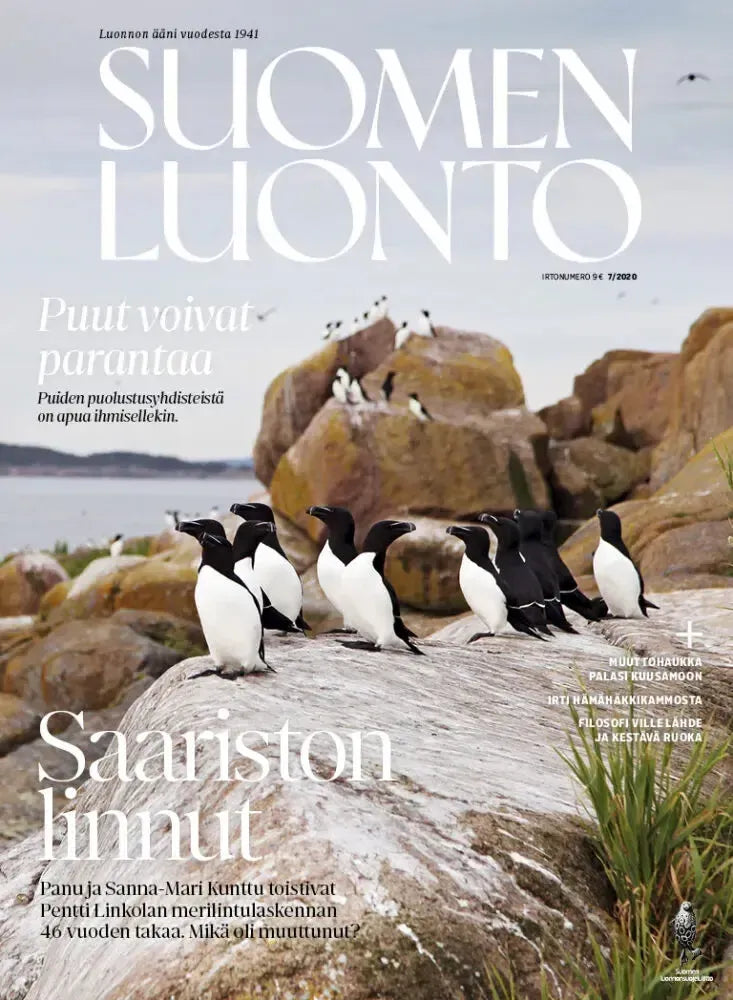 Suomen Luonto 7/2020-Suomen Luonto -lehti-Suomen luonnonsuojeluliiton Luontokauppa