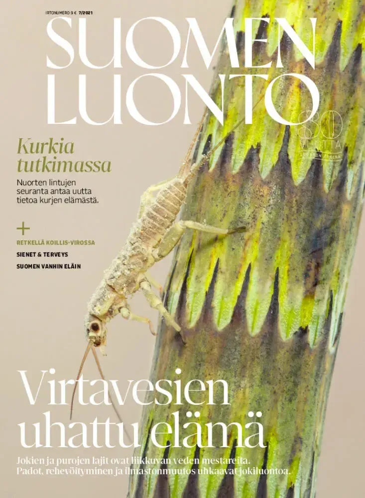 Suomen Luonto 7/2021-Suomen Luonto -lehti-Suomen luonnonsuojeluliiton Luontokauppa
