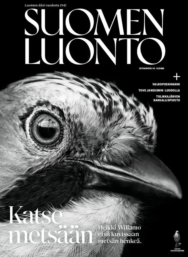 Suomen Luonto 8/2020-Suomen Luonto -lehti-Suomen luonnonsuojeluliiton Luontokauppa