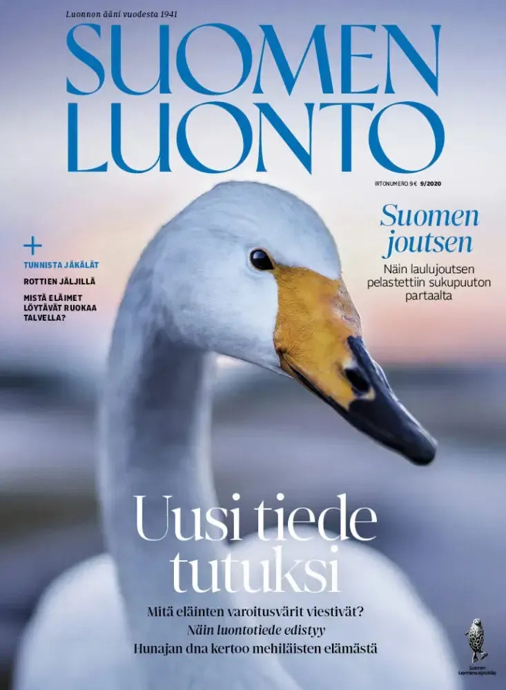 Suomen Luonto 9/2020-Suomen Luonto -lehti-Suomen luonnonsuojeluliiton Luontokauppa
