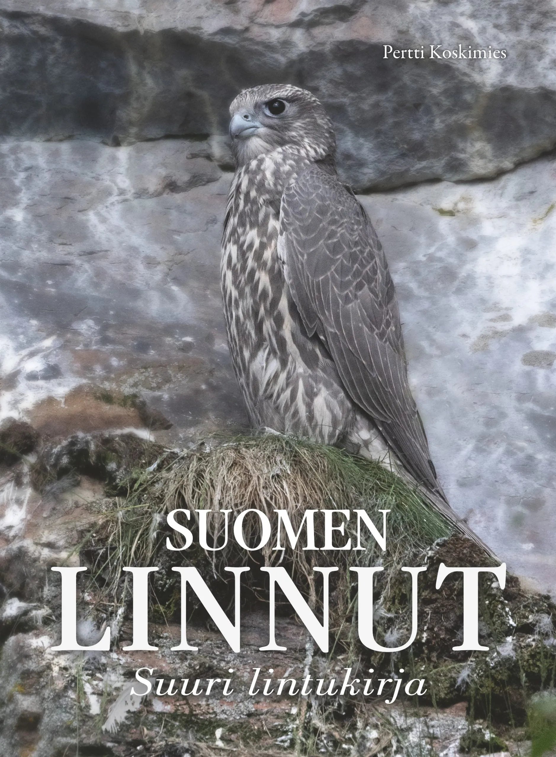 Suomen linnut - Suuri lintukirja-Lintuaiheiset kirjat-Suomen luonnonsuojeluliiton Luontokauppa