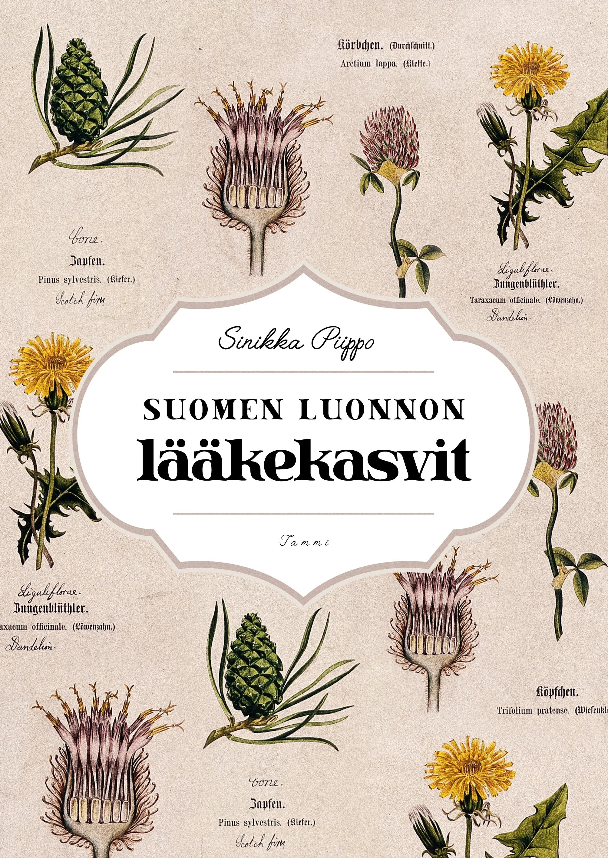 Suomen luonnon lääkekasvit-Kasviaiheiset kirjat-Suomen luonnonsuojeluliiton Luontokauppa