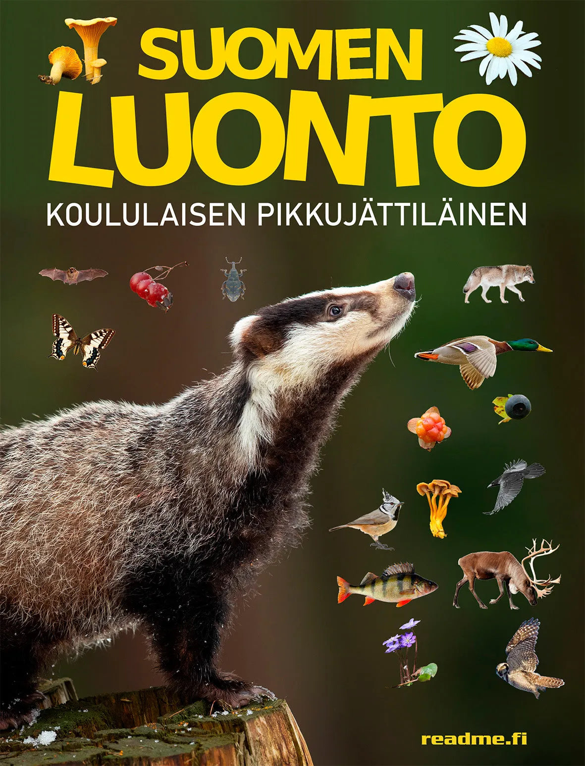 Suomen luonto - Koululaisen pikkujättiläinen-Lasten ja nuorten kirjat-Suomen luonnonsuojeluliiton Luontokauppa