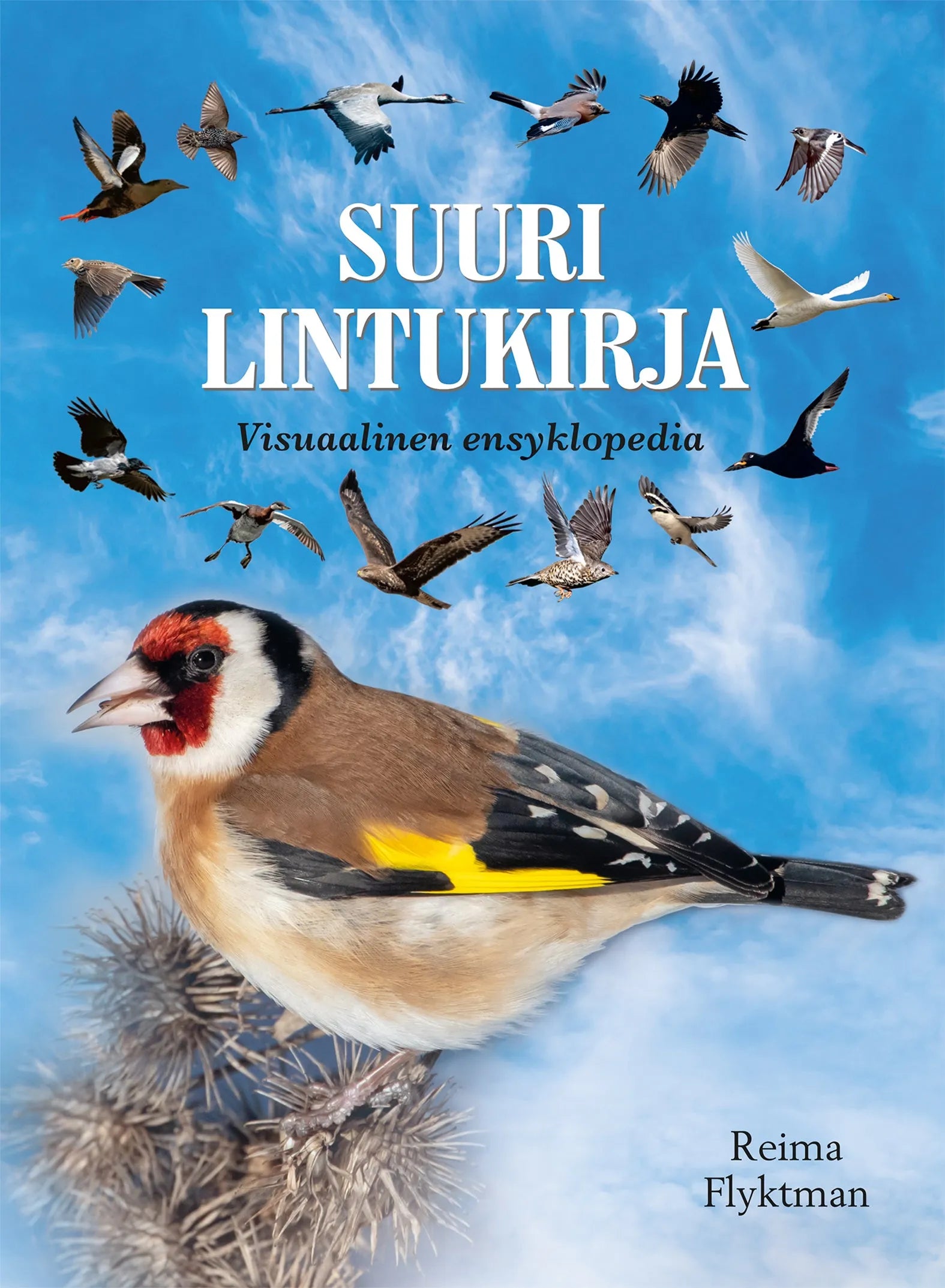 Suuri lintukirja - Visuaalinen ensyklopedia-Lintuaiheiset kirjat-Suomen luonnonsuojeluliiton Luontokauppa