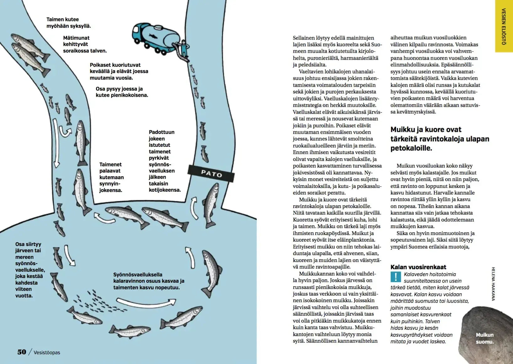 Vesistöopas-Vesistöjä käsittelevät kirjat-Suomen luonnonsuojeluliiton Luontokauppa