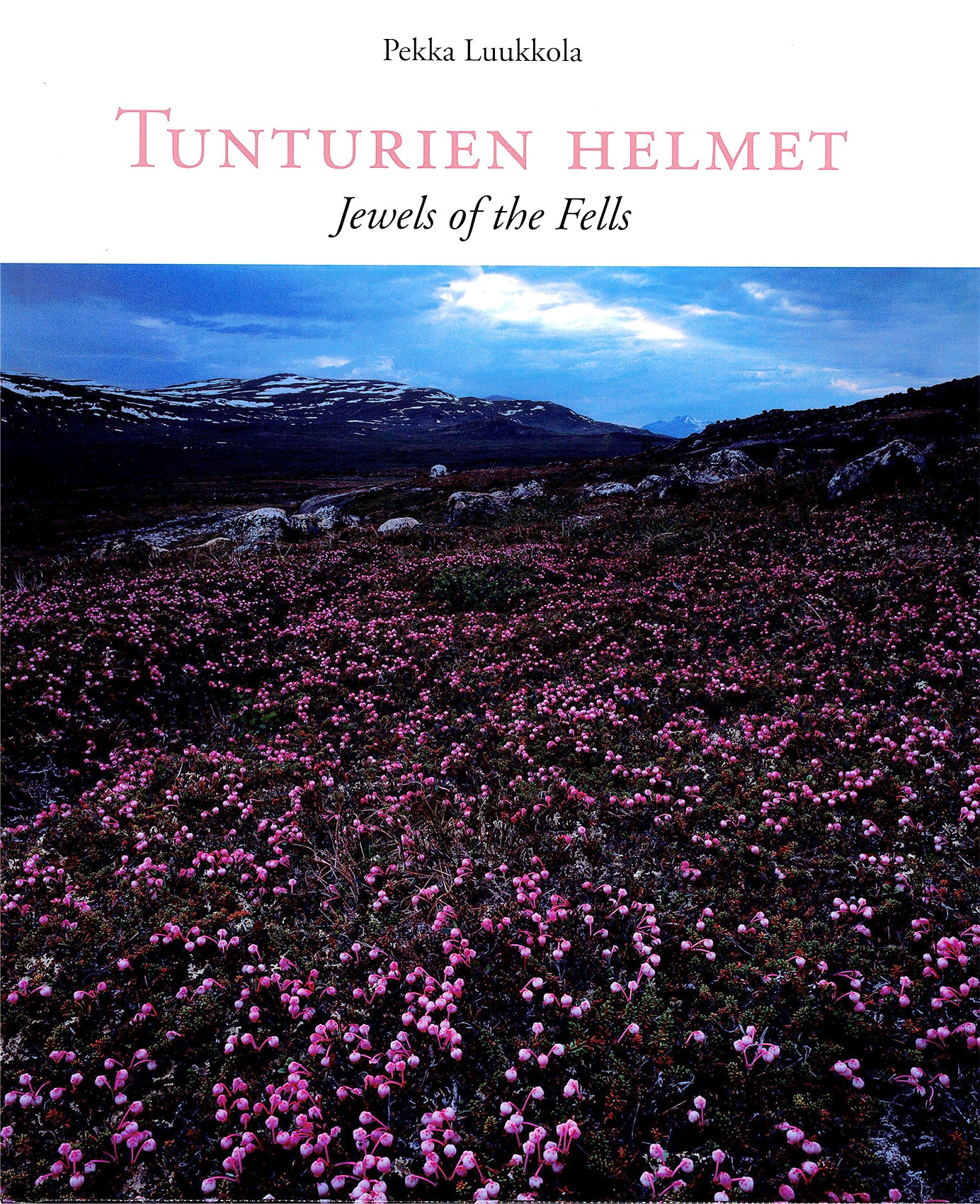 Tunturien helmet - Jewels of the Fells
